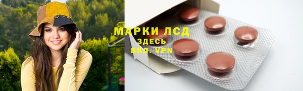 прущие грибы Баксан