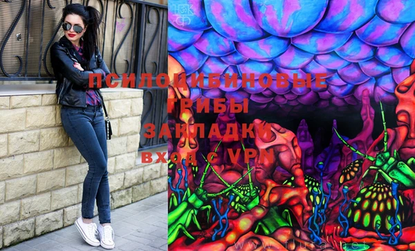 прущие грибы Баксан