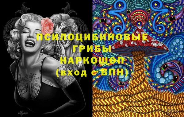 прущие грибы Баксан
